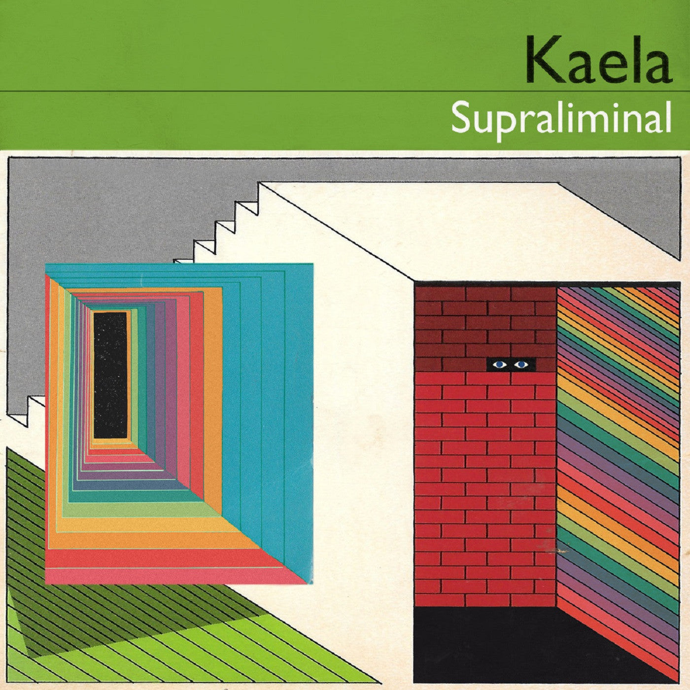 Supraliminal Vinyl Record