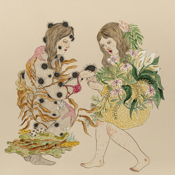 The Language Shadow Vinyl Record