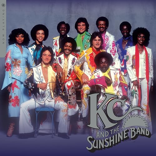 Now Playing [Vinyl] Vinyl Record