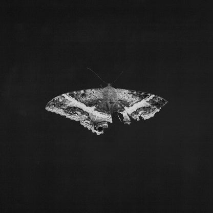 Kendrick Lamar To Pimp A Butterfly (2 LP 10 Year Anniversary- Alternate Artwork (Black marble Vinyl) Vinyl Record