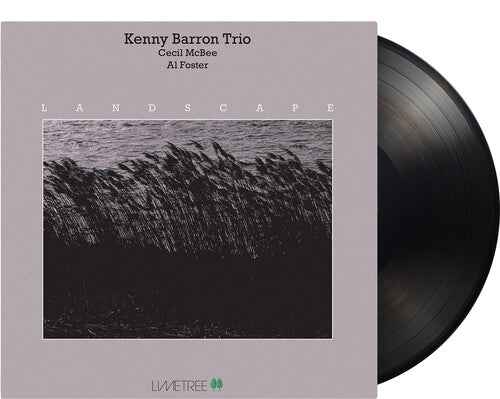 Kenny Barron Trio - Landscape [Vinyl] Vinyl Record