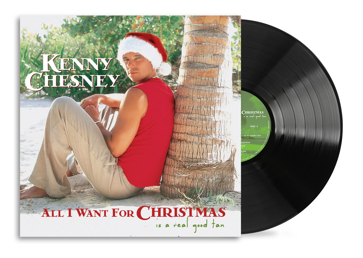 All I Want For Christmas Is A Real Good Tan  Vinyl Record