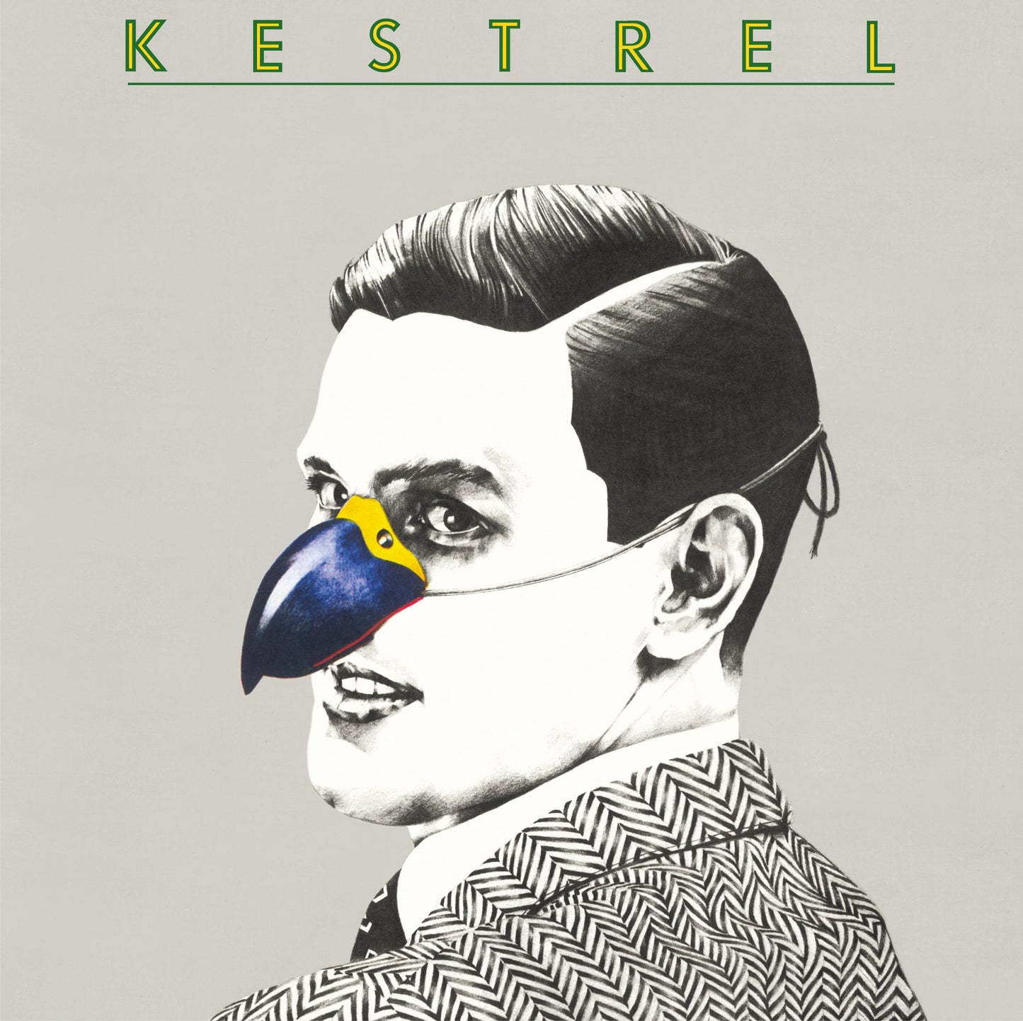 Kestrel Vinyl Record