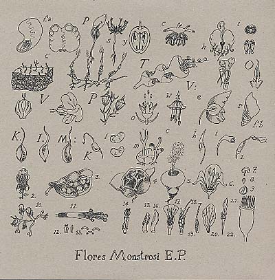 Flores Monstrosi Vinyl Record