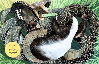 Animal Allstars Book