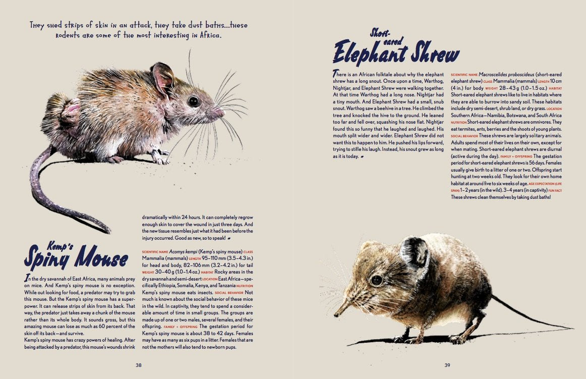 Animal Allstars Book