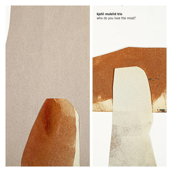 KJETIL MULELID TRIO - Who Do You Love The Most? Vinyl Record