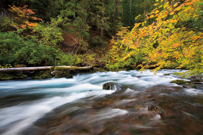 Capture Central Oregon Book