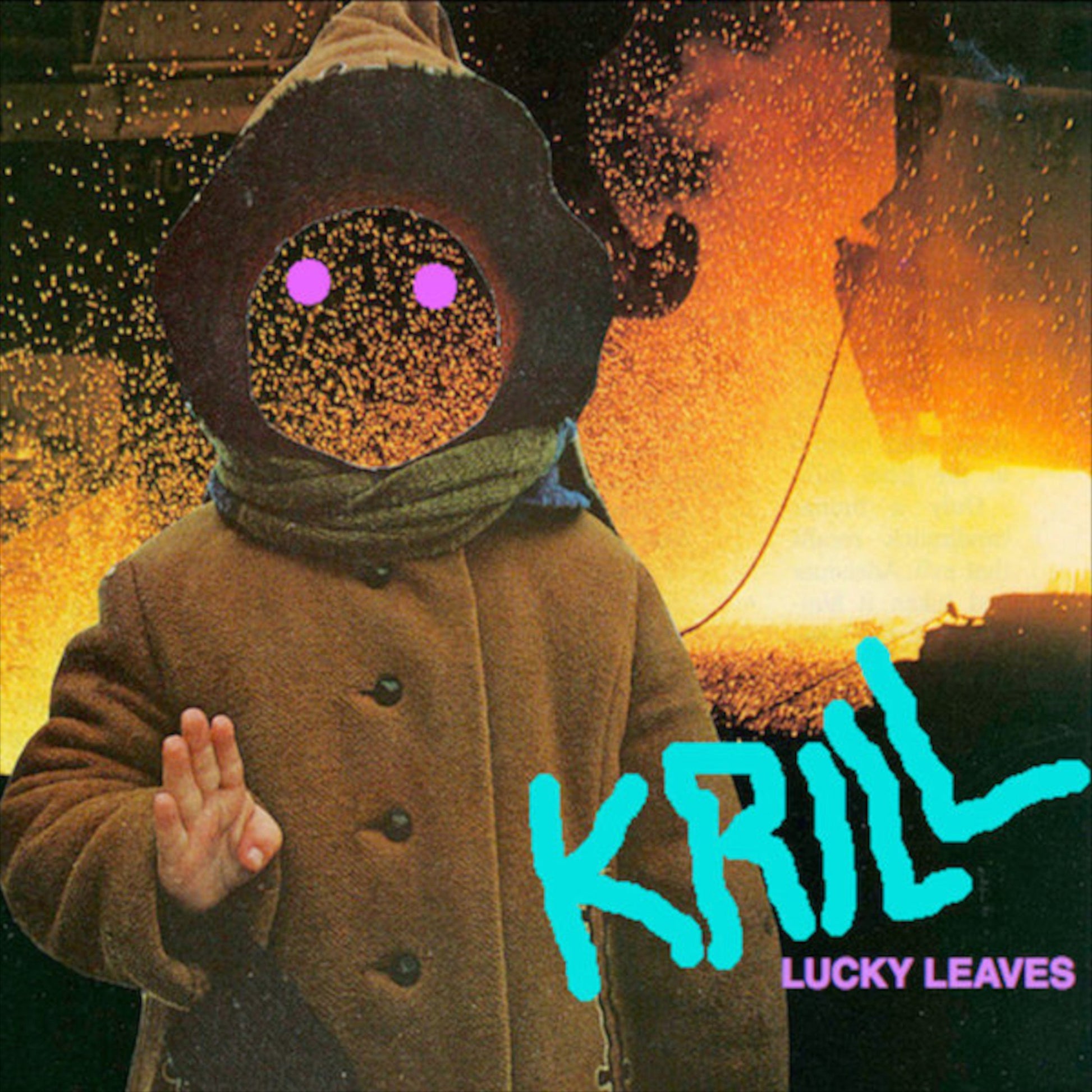 Lucky Leaves (Cloudy Orange Colored Vinyl Vinyl) [Vinyl] Vinyl Record