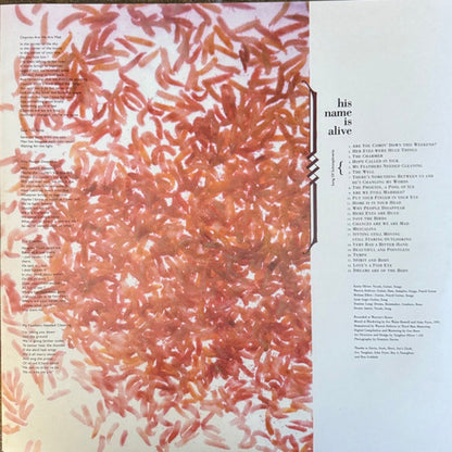 His Name Is Alive – Home Is In Your Head (LP Vinyl) Vinyl Record