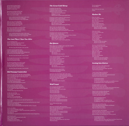 The Mountain Goats – Getting Into Knives (2-LP Vinyl) Vinyl Record
