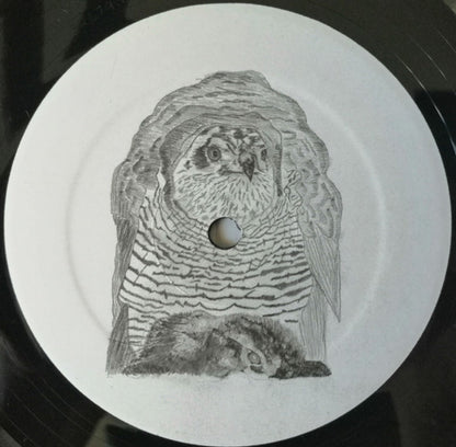 Wrekmeister Harmonies – We Love To Look At The Carnage (LP Vinyl) Vinyl Record