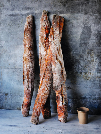 Sourdough for All Book