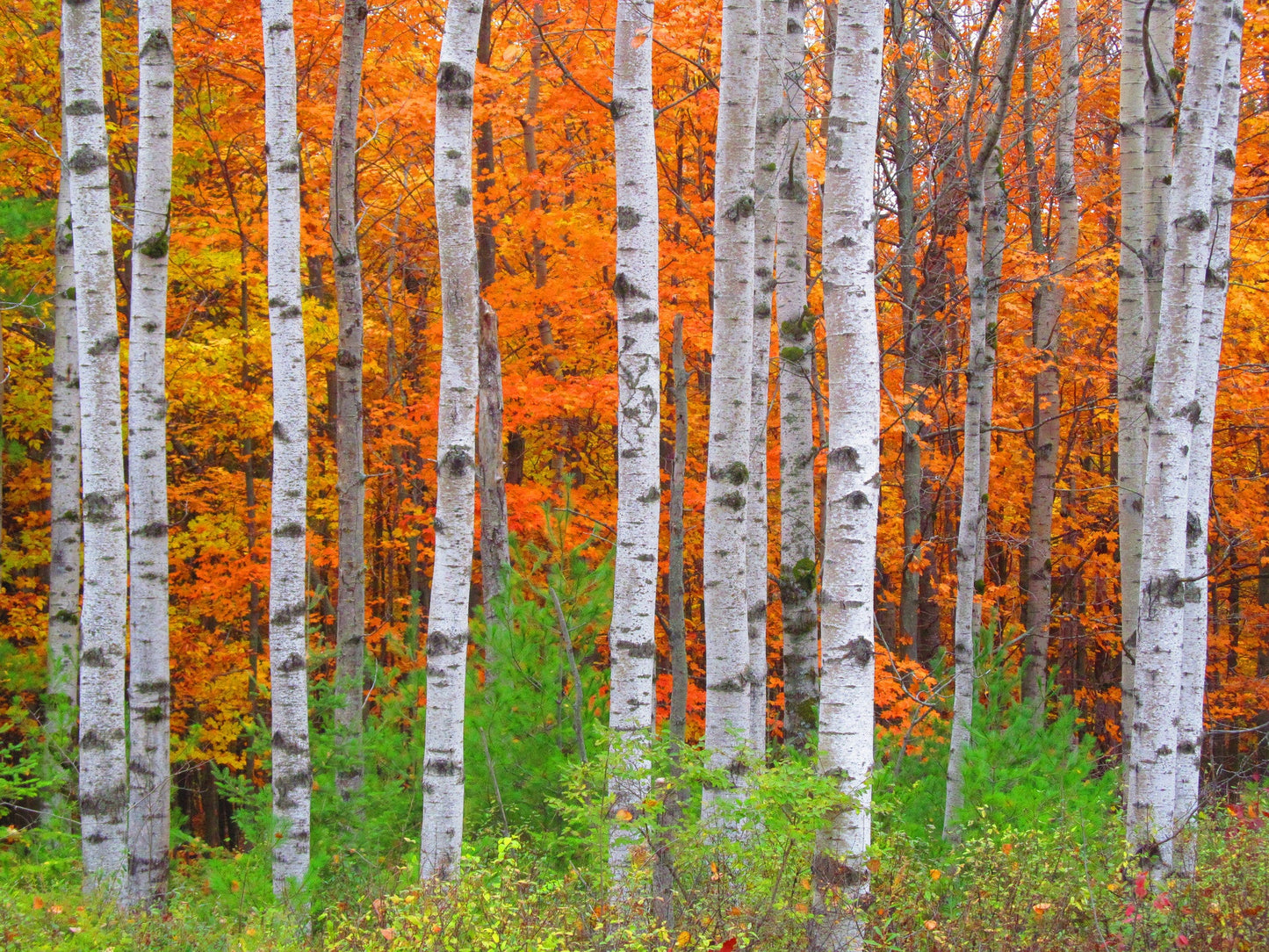 Capture Door County: Seasons Behind the Door: A Photographic Look at Door County's Seasons Book