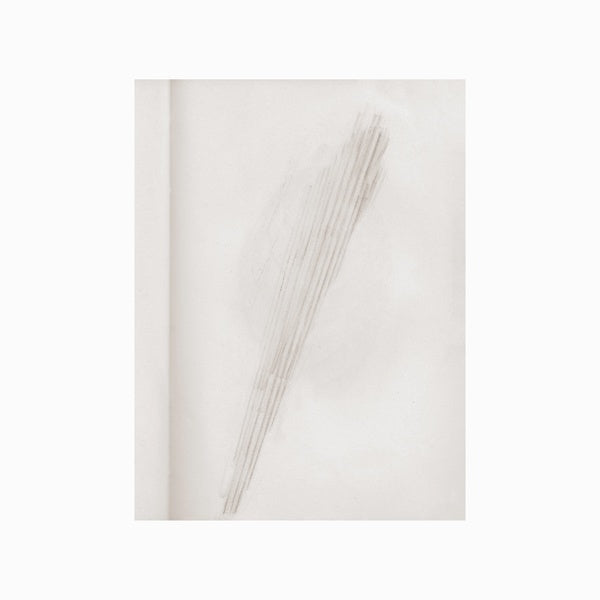 A Mirror Holds The Sky  Music CD