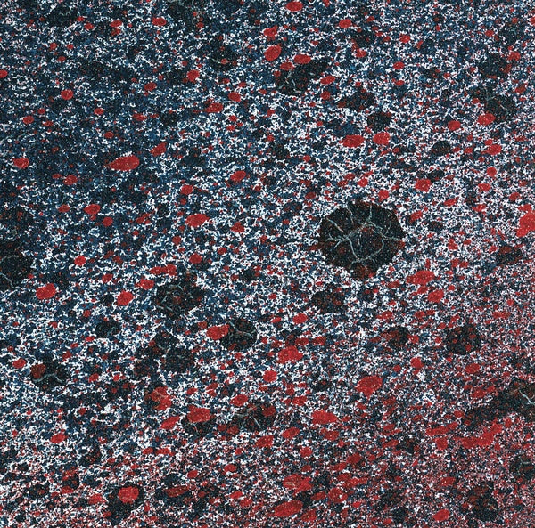 LEITMOTIV LIMBO - Superior State Vinyl Record