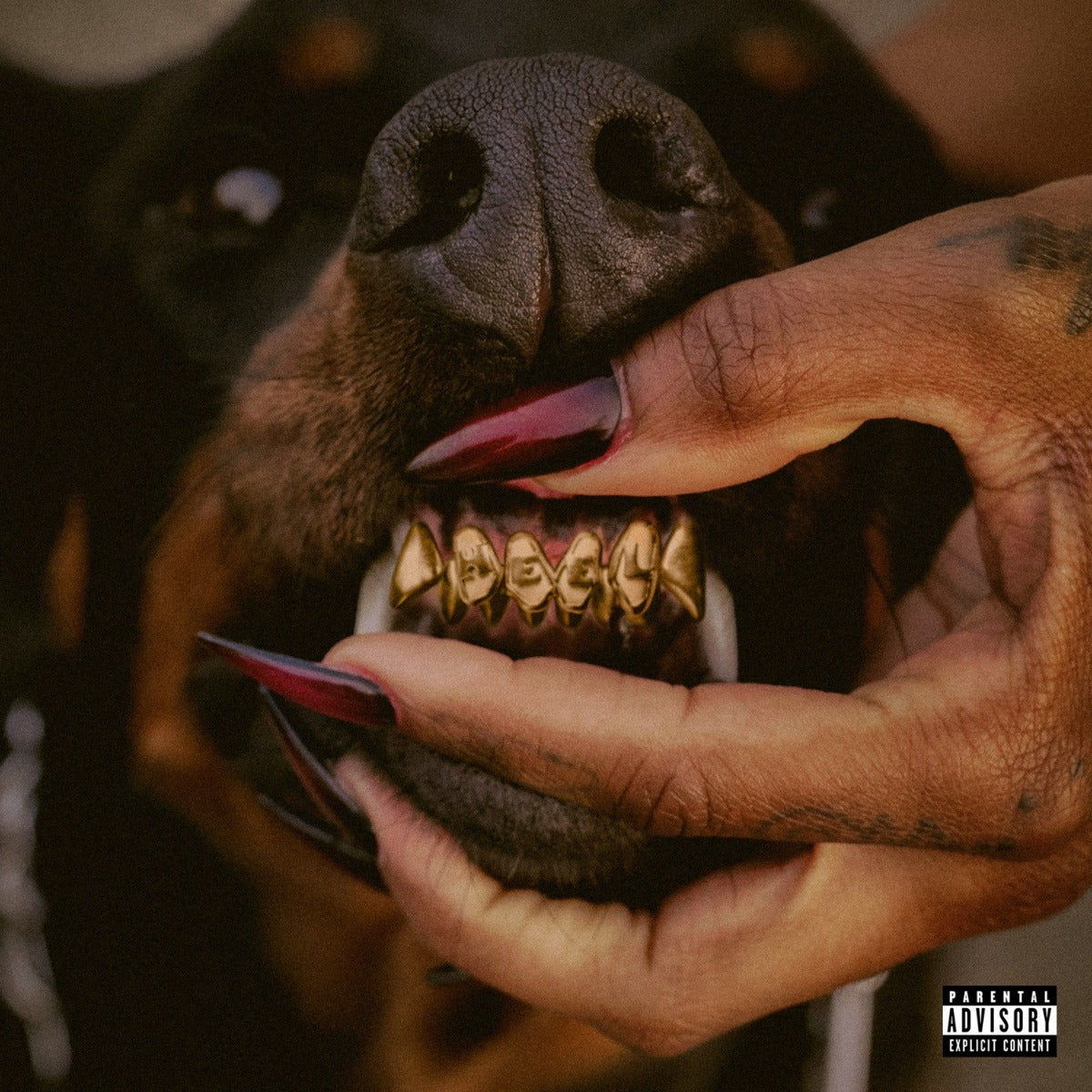 Mutt Deluxe: Heel [Translucent Ruby 2 Lp] [Vinyl] Vinyl Record