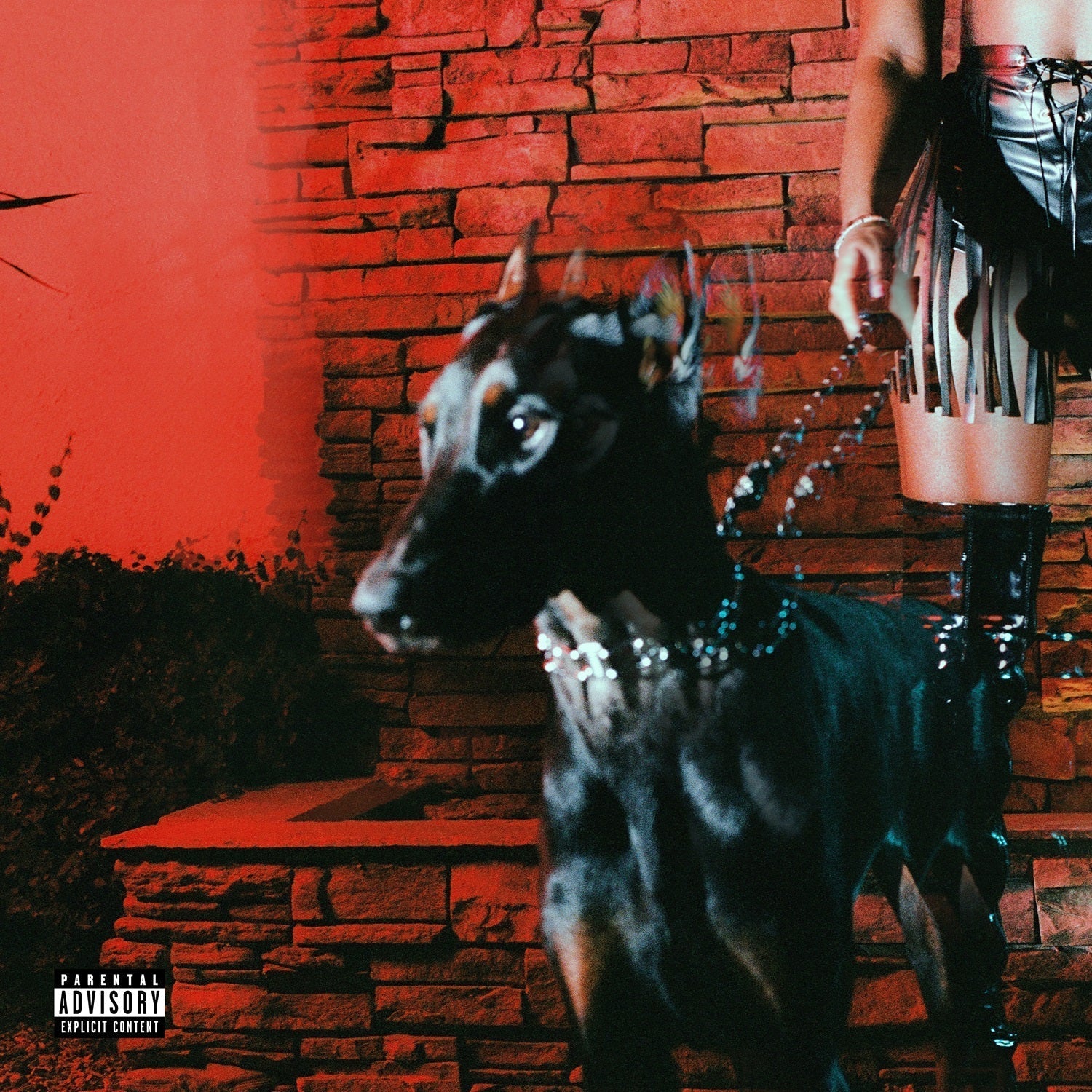 Mutt Music CD