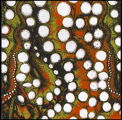 LES CONVERSIONS - Les Conversions Vinyl Record