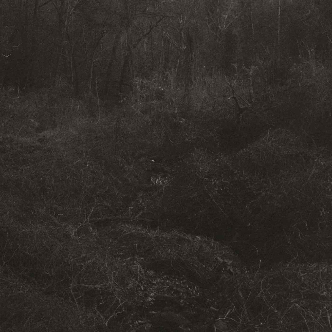 Lesley Mok - Transient [Vinyl] Vinyl Record