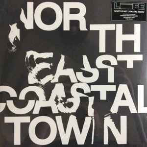 North East Coastal Town Vinyl Record
