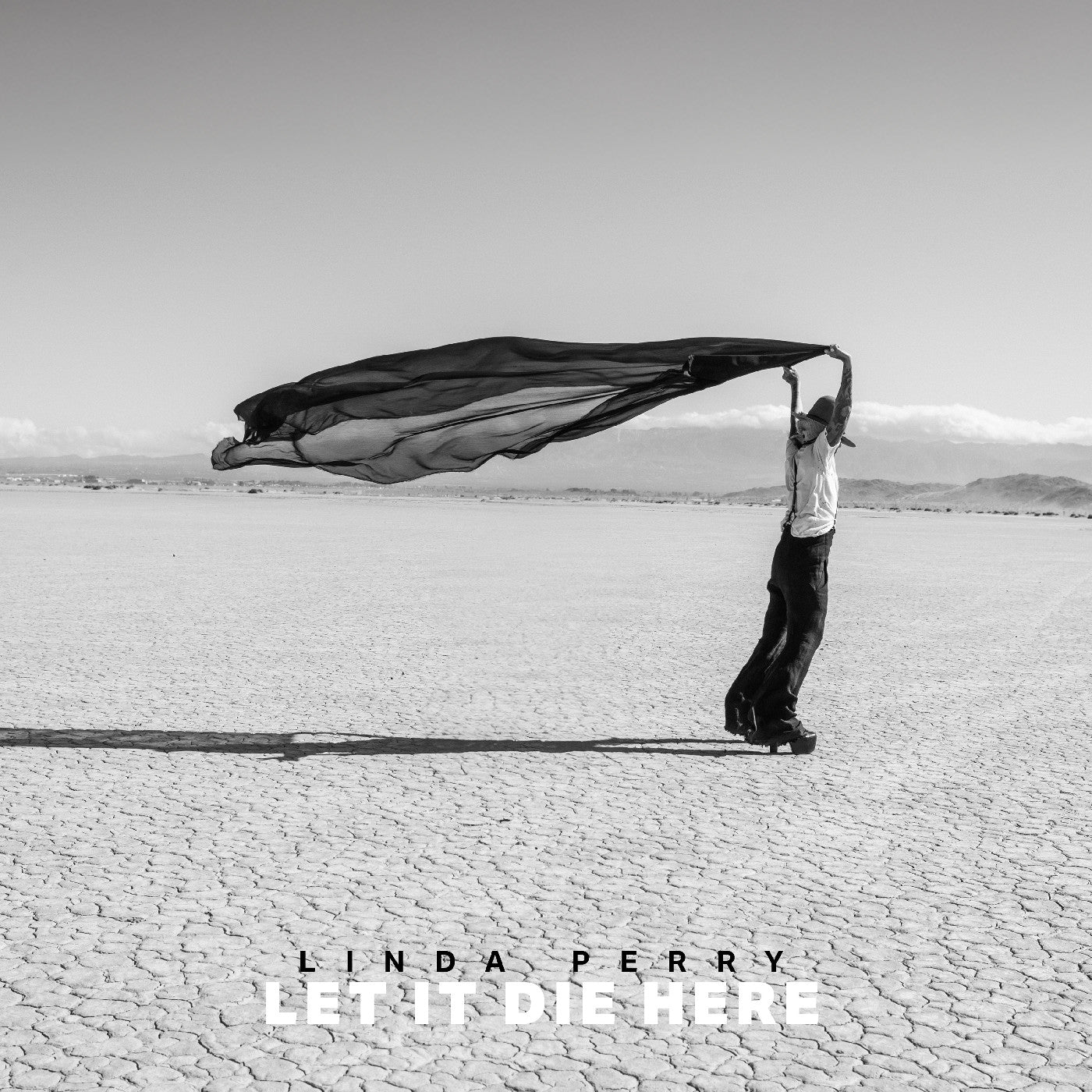 Let It Die Here (Desert Glass Vinyl) [Vinyl] Vinyl Record