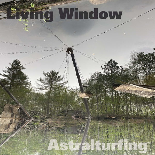 Astralturfing Vinyl Record