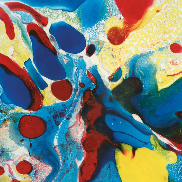 Elephant Vinyl Record