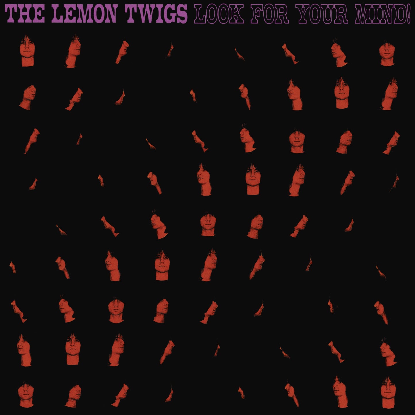 Look For Your Mind! (Transparent Day) [Vinyl] Vinyl Record