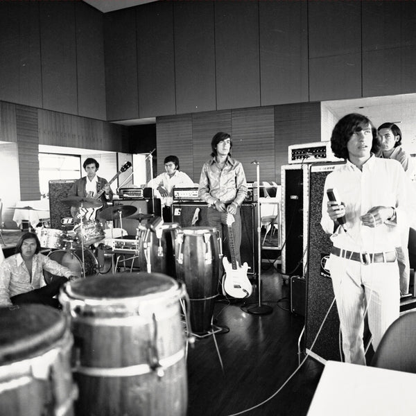 El Sonido Niebla De Los Texao  Vinyl Record