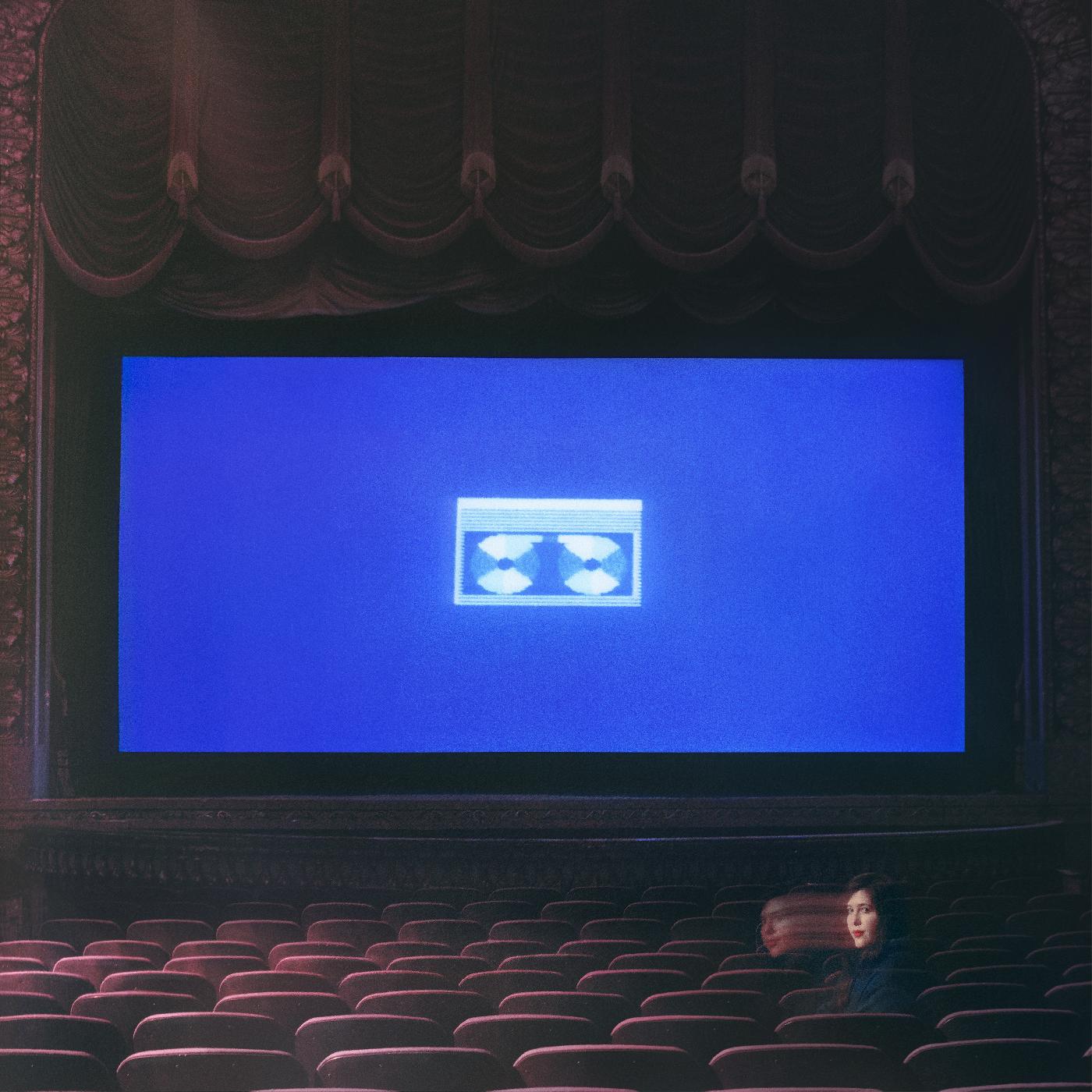 Home Video Vinyl Record