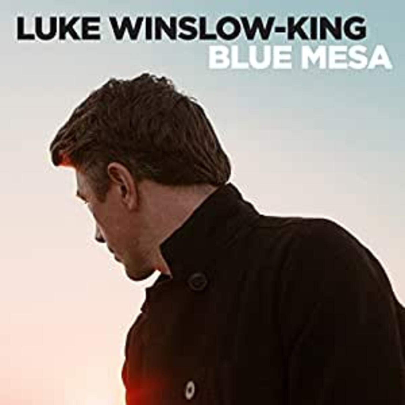 Luke Winslow-King - Blue Mesa Vinyl Record