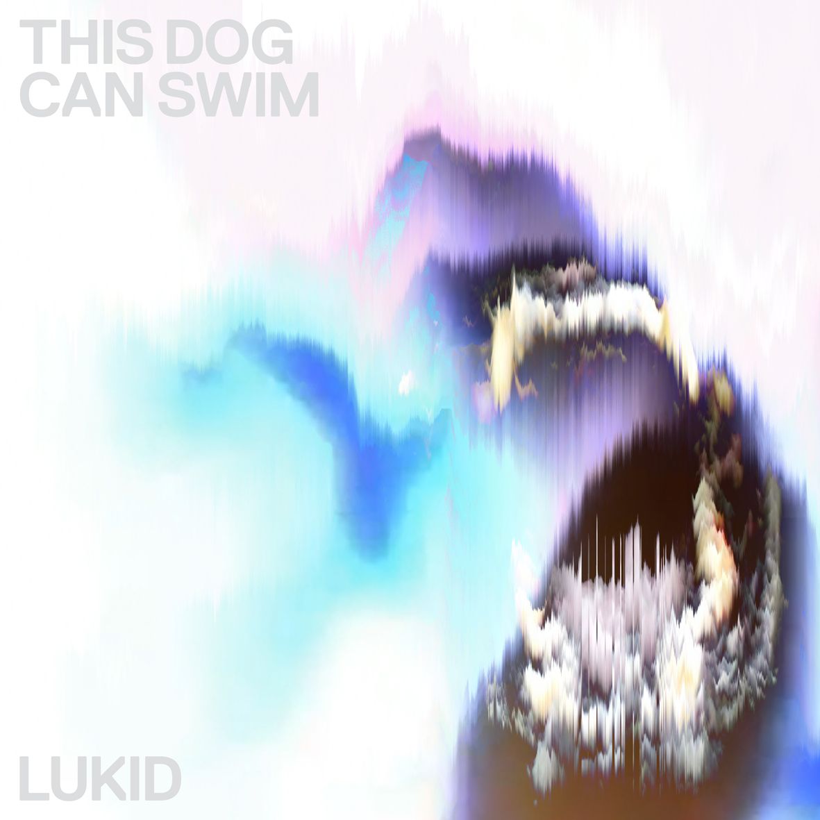 Lukid - This Dog Can Swim 12" Vinyl Record