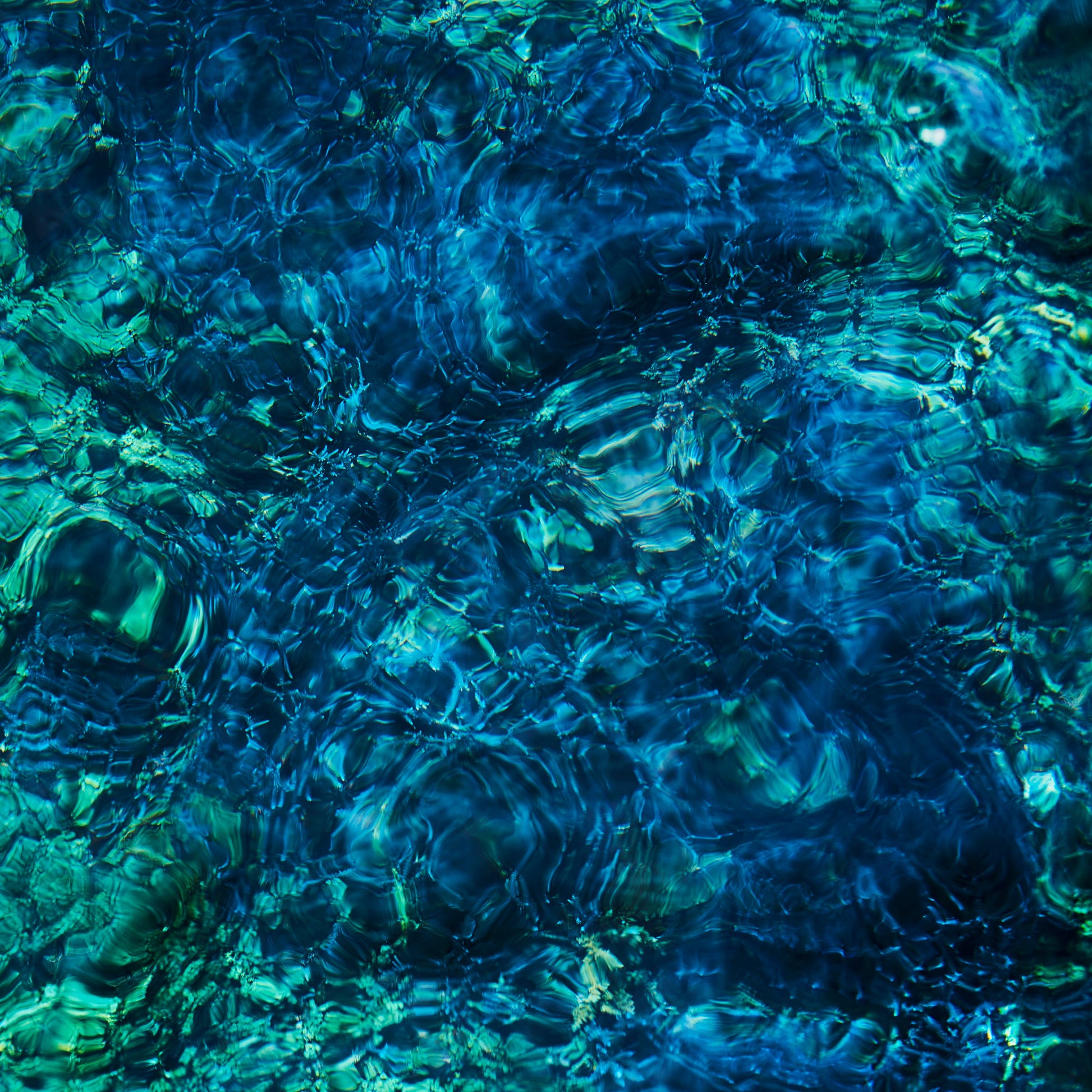 Luminescent Creatures Vinyl Record