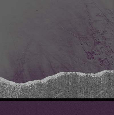 Apophenia [Import] Vinyl Record