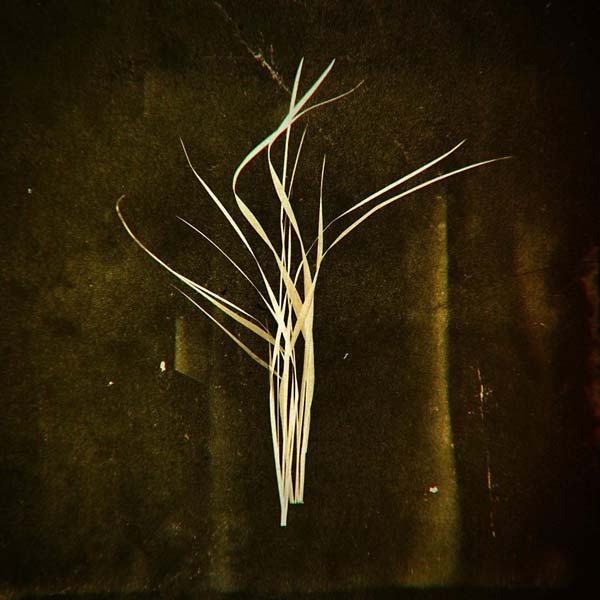 Mnemosyne Vinyl Record