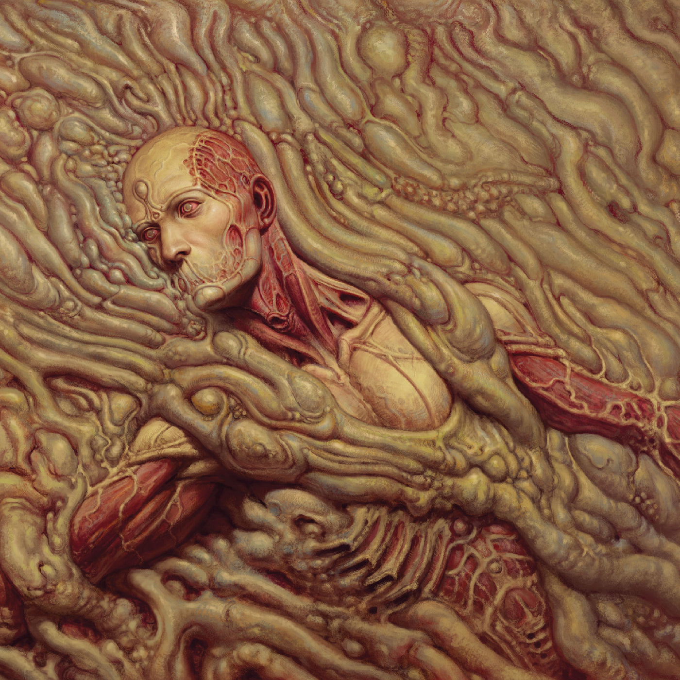 Scorn [Vinyl] Vinyl Record