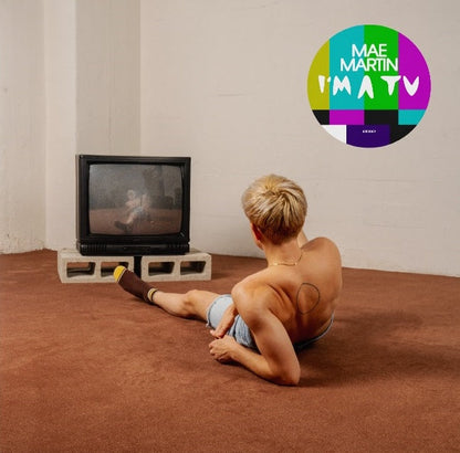 I'm A TV Vinyl Record