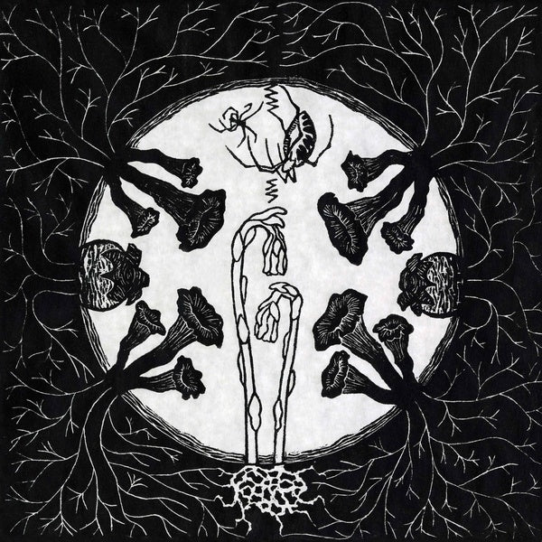 Magic Tuber Stringband - Tarantism [Vinyl] Vinyl Record