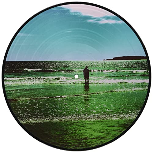 Ultra Vivid Lament (Picture Disc Vinyl) [Import] [Vinyl] Vinyl Record