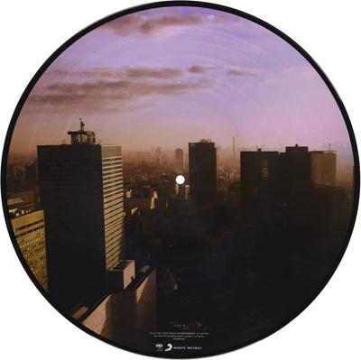 Ultra Vivid Lament (Picture Disc Vinyl) [Import]  Vinyl Record
