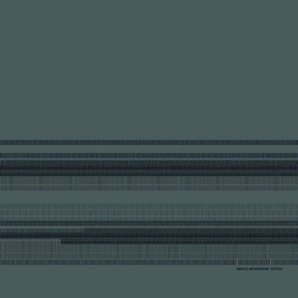 MARCO MONFARDINI - Detect Vinyl Record