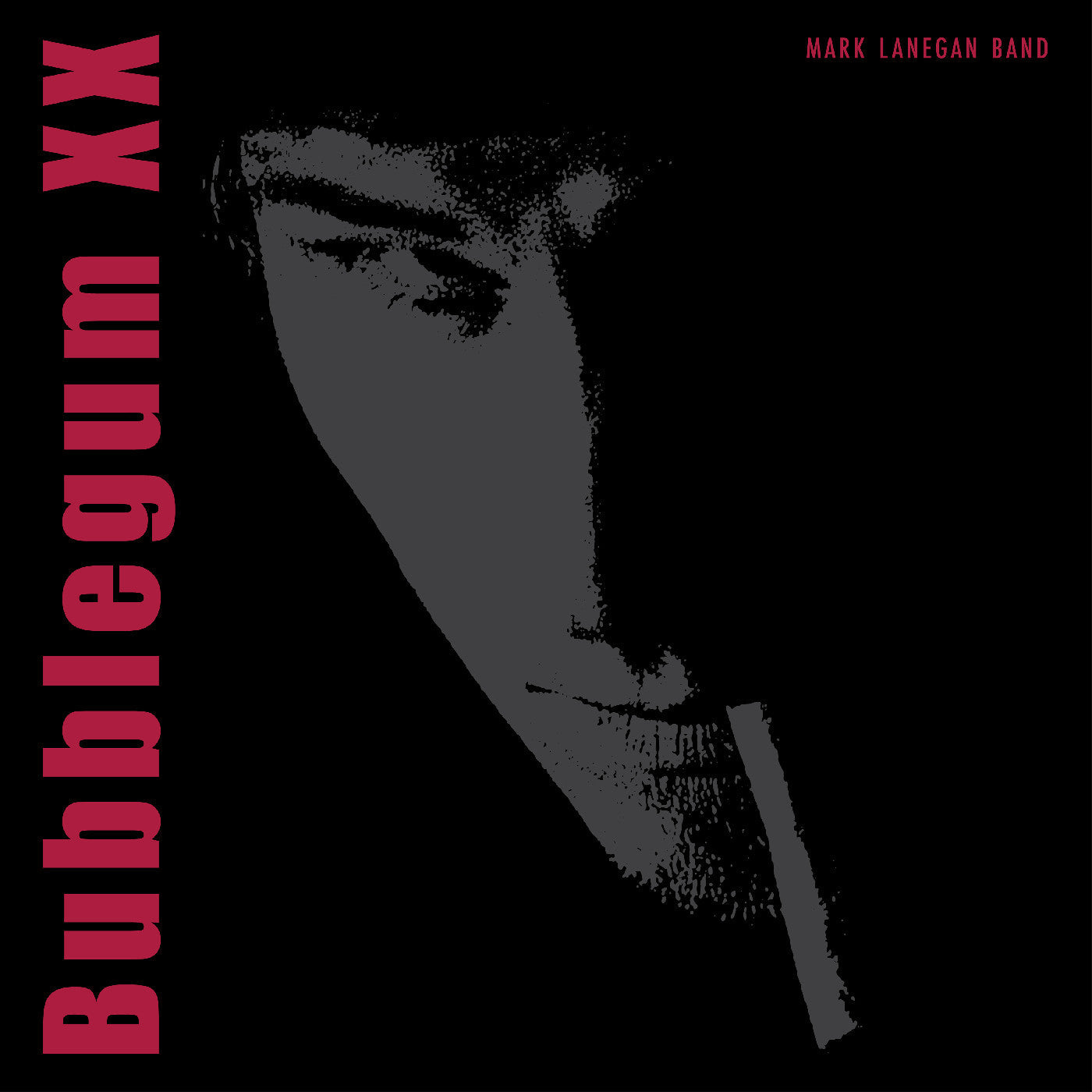 Bubblegum XX Music CD