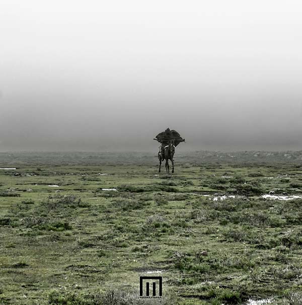 MARKUS WORMSTORM - Figure In Field Vinyl Record