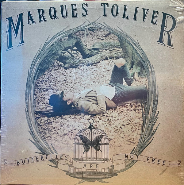 Butterflies Are Not Free Vinyl Record