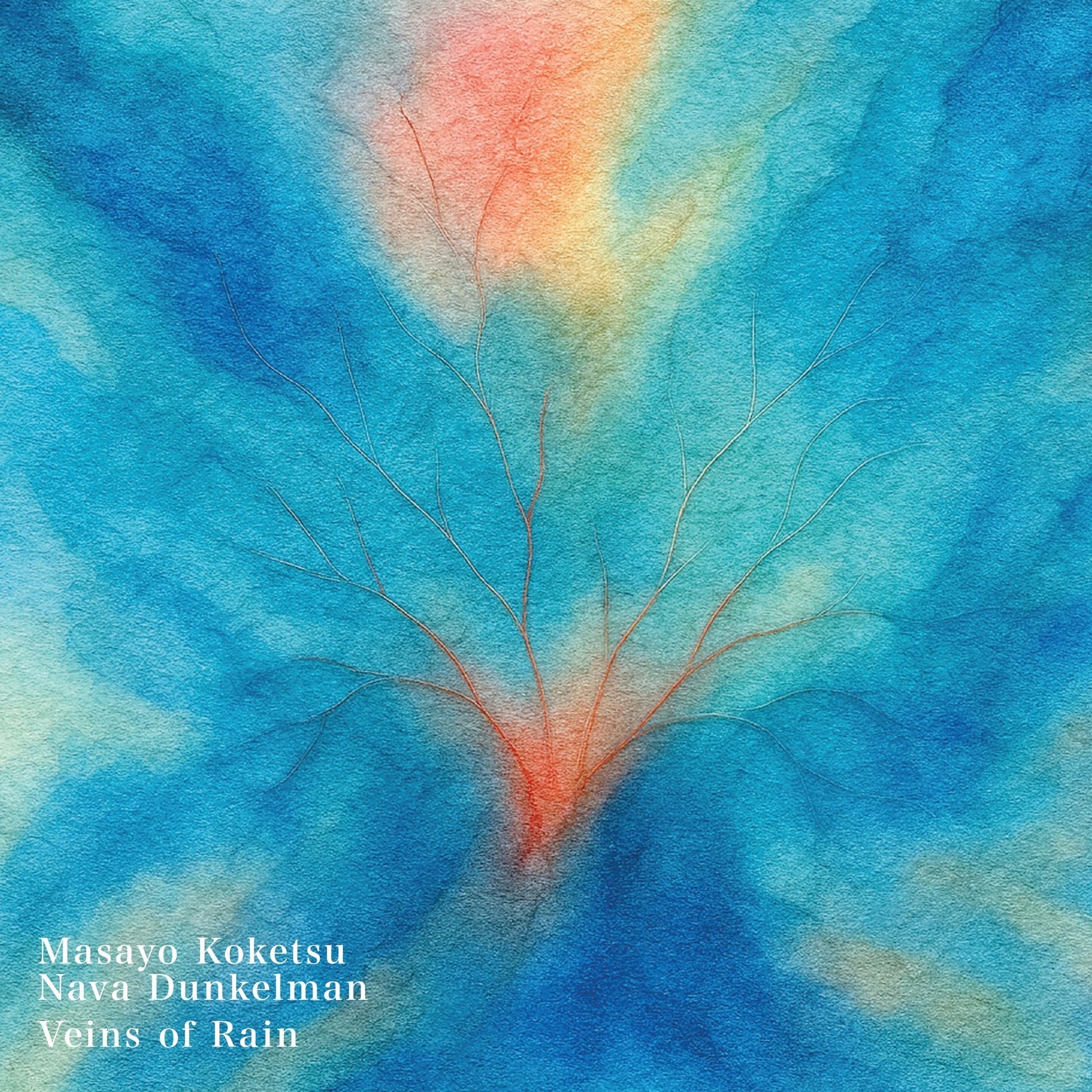 Veins Of Rain Music CD