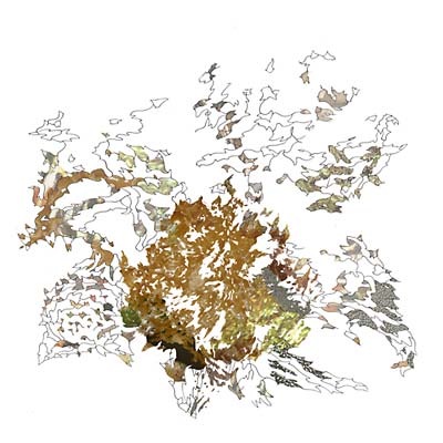 Max Eilbacher - Red Anxiety Tracers Vinyl Record