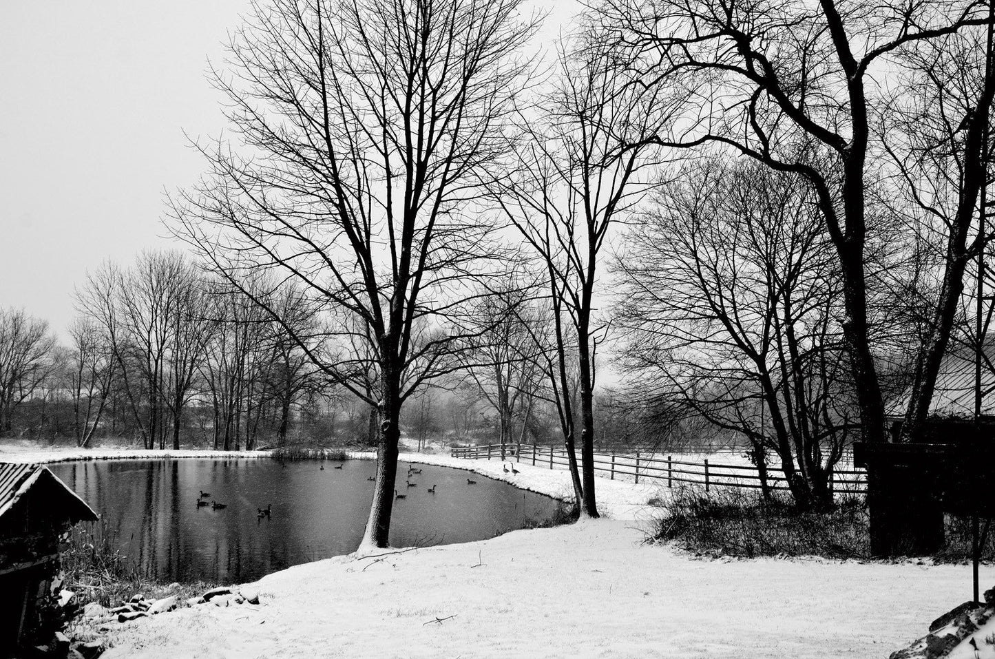 Capture Greater Lehigh Valley: The Best of the Lehigh Valley in Photography Book