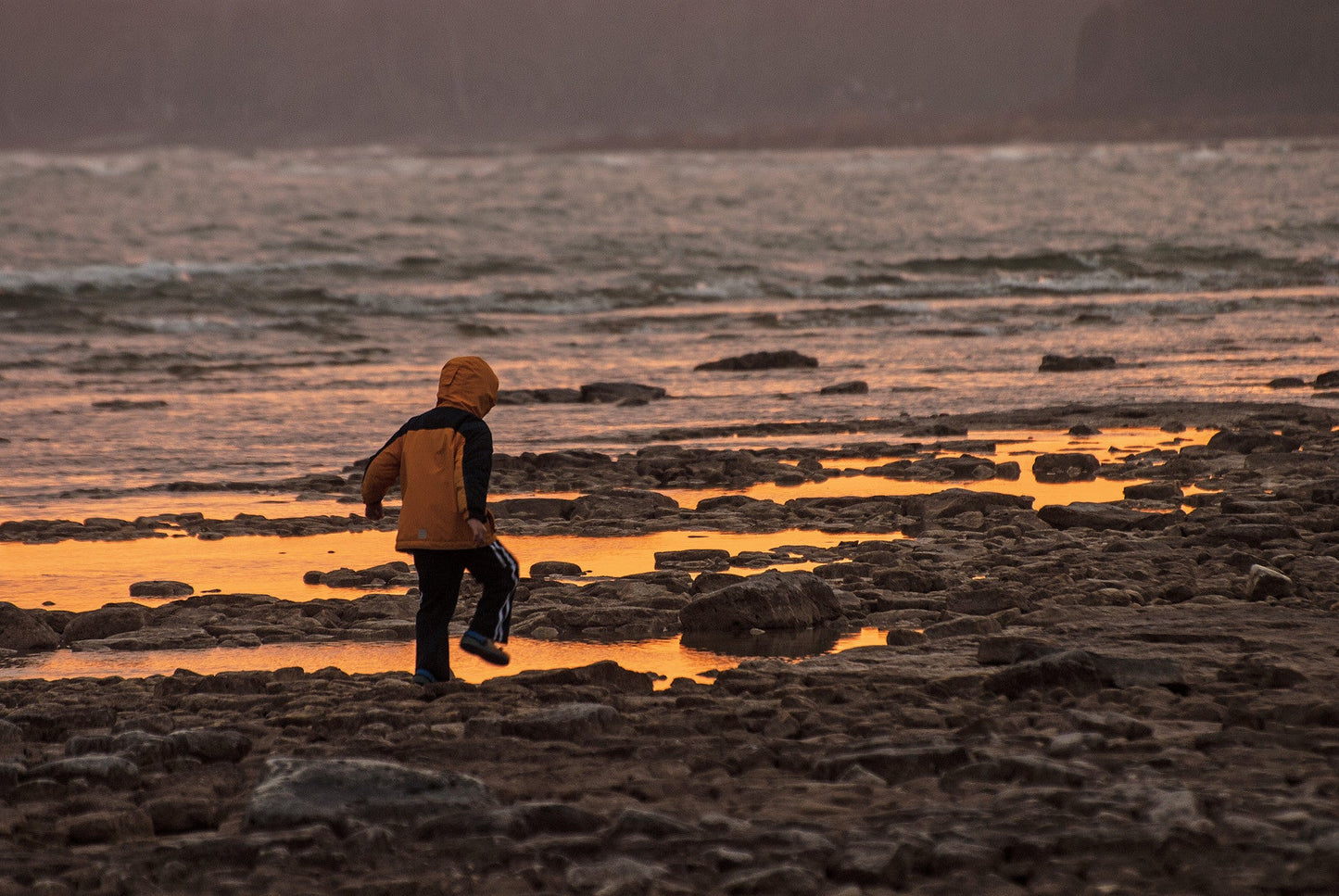 Capture Door County: The Best of Door County in Photography Book