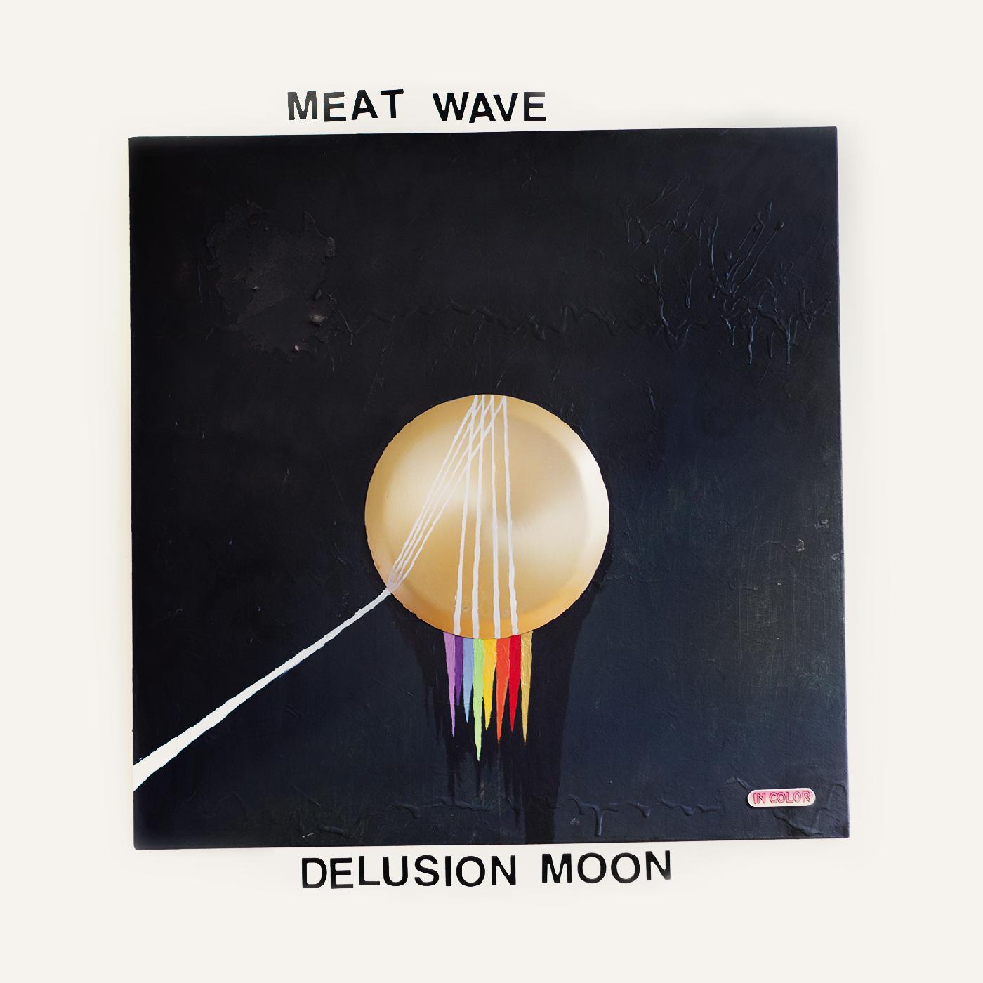 Delusion Moon Vinyl Record